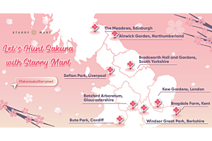 Best 9 Places to Hunt Sakura (Cherry Blossoms) across the UK