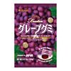Kasugai Frutia Grape Gummy Candy 107g