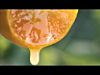 Nin Jiom Herbal Candy - Tangerine-Lemon (Kamkat) Flaour (Tin) 60g