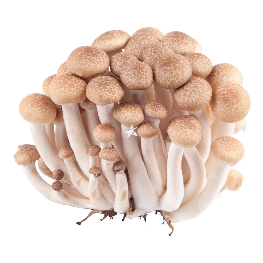 Buy Starry Mart Fresh Brown Shimeji Mushroom 150g - Chinese 